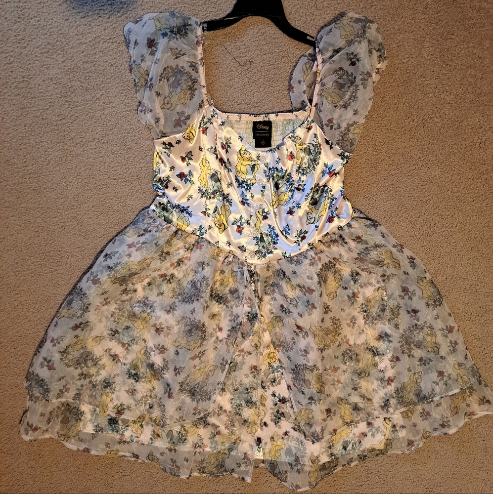 Sleeping Beauty Dress